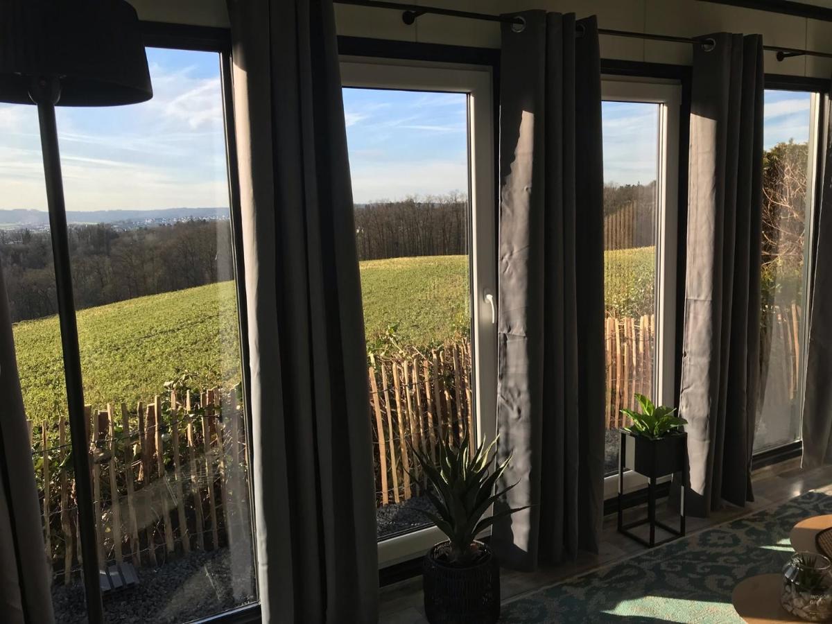 Beach-House Mit Alpen- Stadt- Und Poolblick , Wlan Villa Passau Eksteriør billede