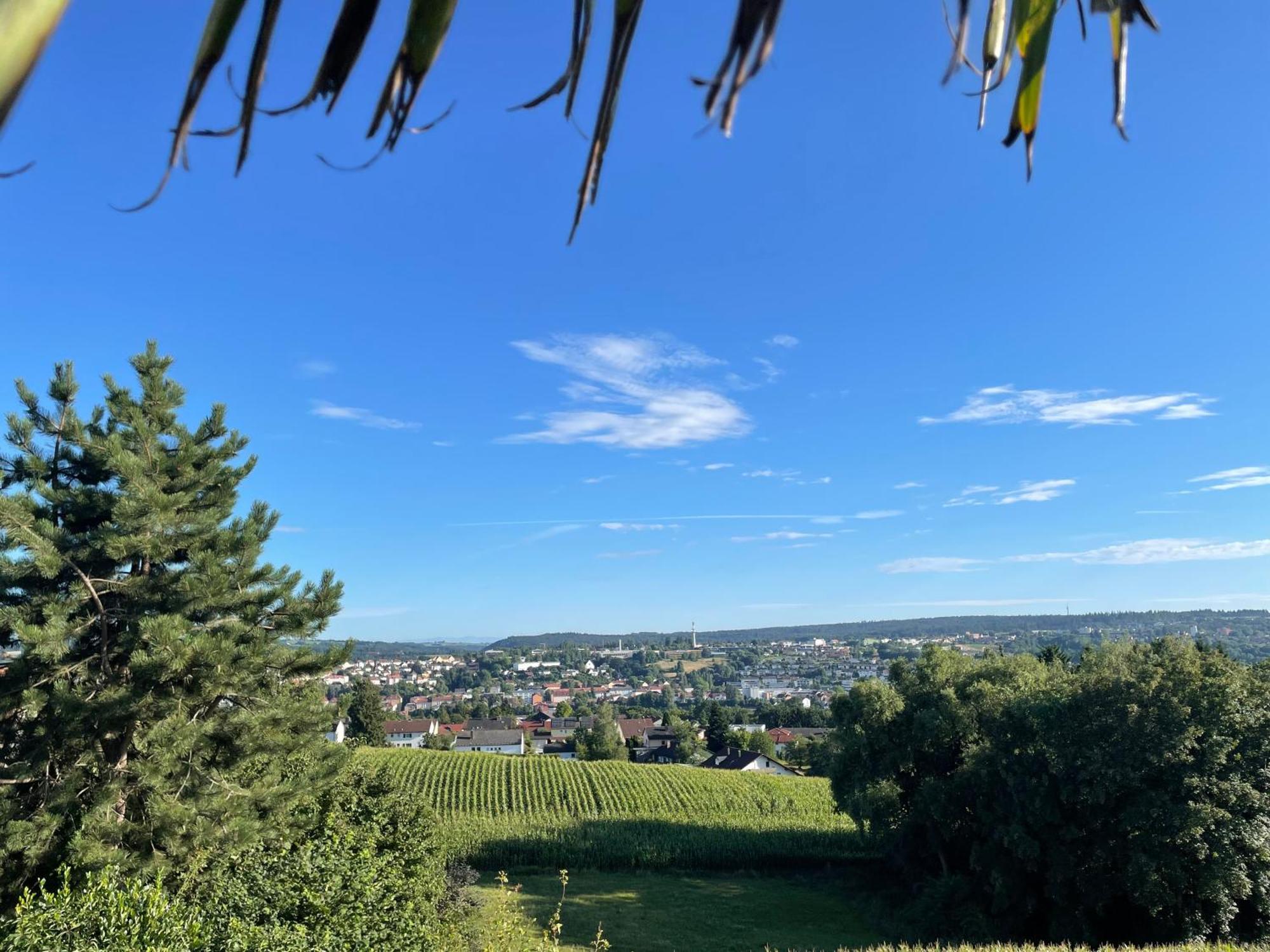 Tiny-House Mit Alpen- Stadt- Und Poolblick , Wlan Passau Eksteriør billede